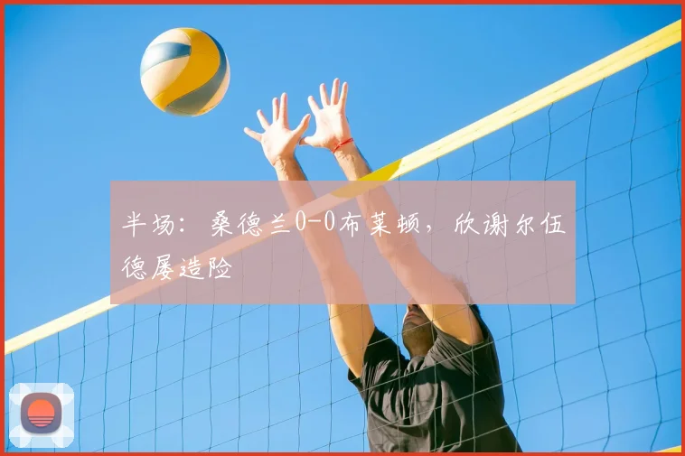 半场：桑德兰0-0布莱顿，欣谢尔伍德屡造险