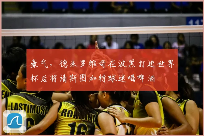 豪气，德米罗维奇在波黑打进世界杯后将请斯图加特球迷喝啤酒