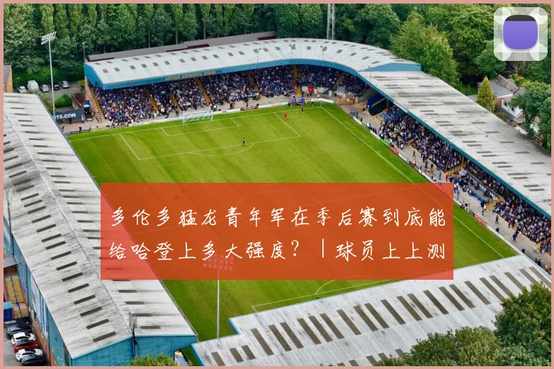 多伦多猛龙青年军在季后赛到底能给哈登上多大强度？｜球员上上测