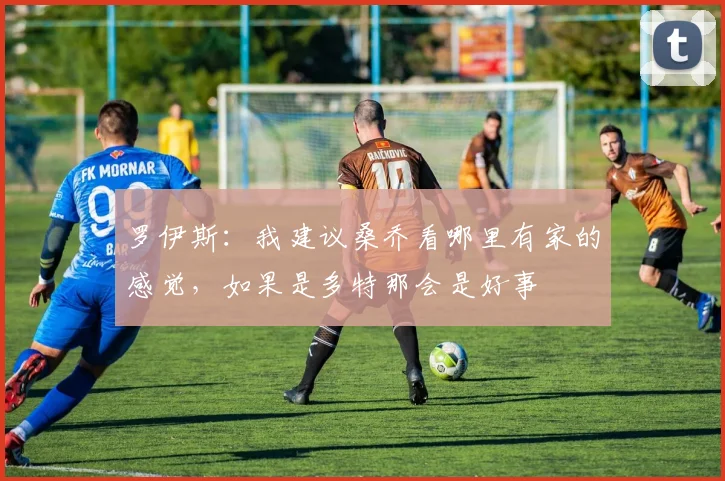 罗伊斯：我建议桑乔看哪里有家的感觉，如果是多特那会是好事