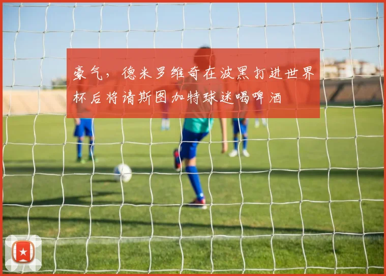 豪气，德米罗维奇在波黑打进世界杯后将请斯图加特球迷喝啤酒